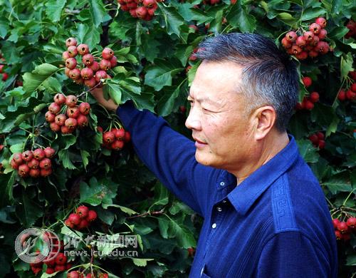 suncitygroup太阳集团