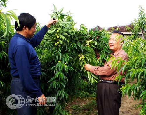 suncitygroup太阳集团