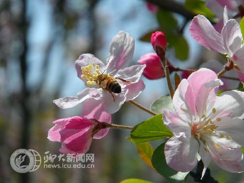 suncitygroup太阳集团