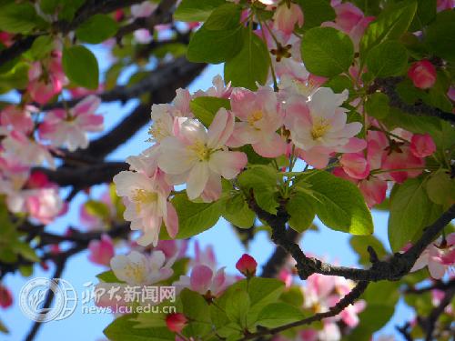 suncitygroup太阳集团