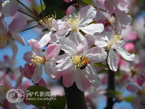 suncitygroup太阳集团