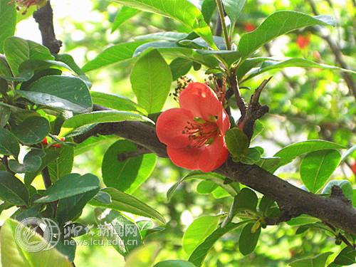 suncitygroup太阳集团