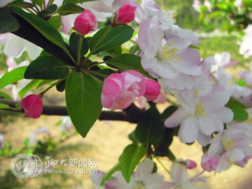 suncitygroup太阳集团