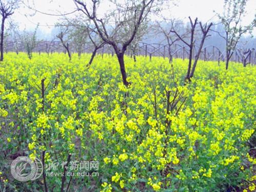 suncitygroup太阳集团