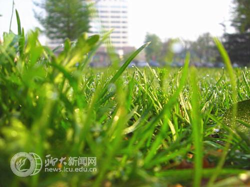 suncitygroup太阳集团