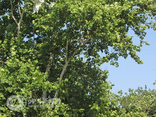 suncitygroup太阳集团