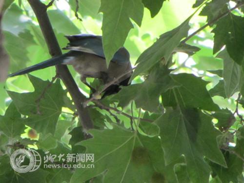 suncitygroup太阳集团