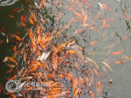 suncitygroup太阳集团