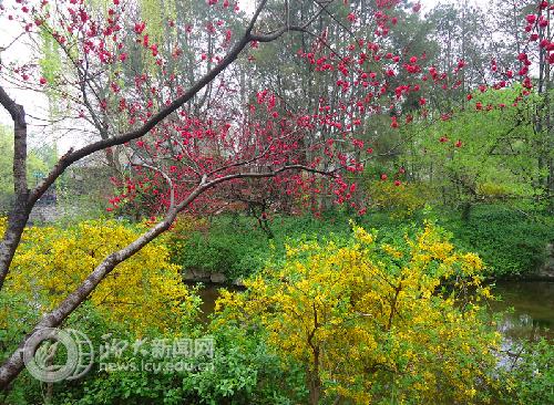 suncitygroup太阳集团