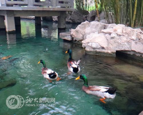 suncitygroup太阳集团