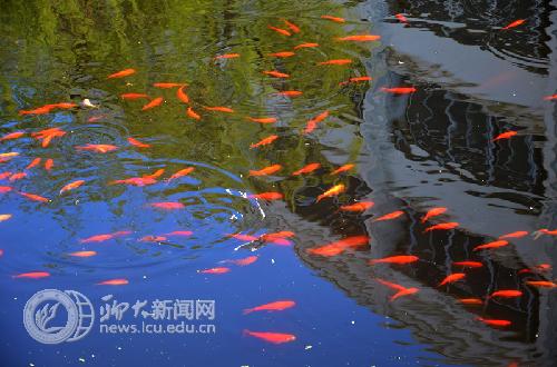 suncitygroup太阳集团