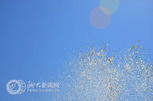 suncitygroup太阳集团