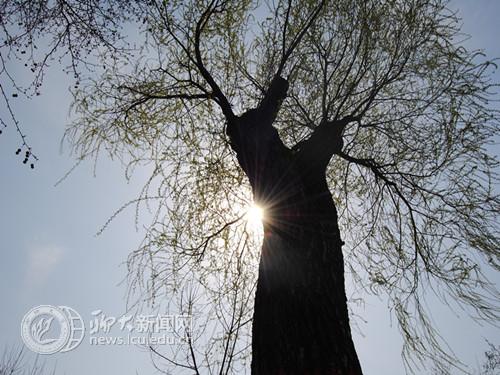 suncitygroup太阳集团