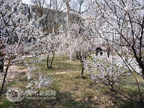 suncitygroup太阳集团