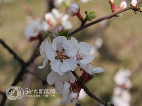 suncitygroup太阳集团