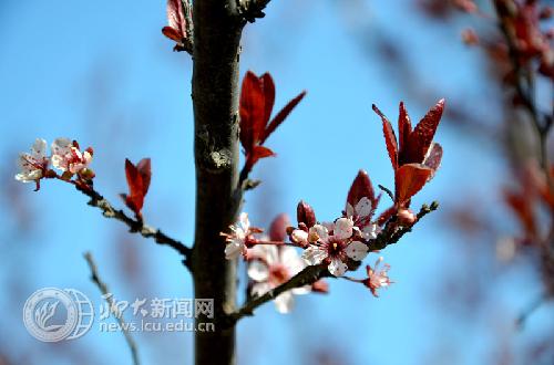 suncitygroup太阳集团