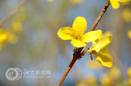 suncitygroup太阳集团