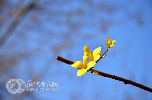 suncitygroup太阳集团