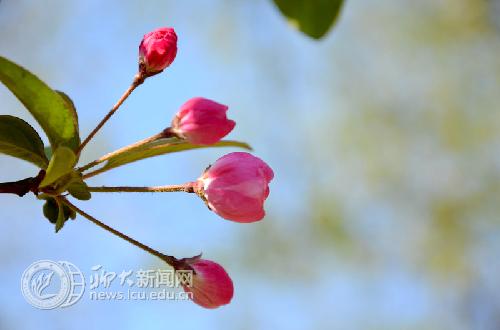 suncitygroup太阳集团