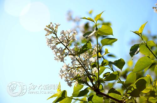 suncitygroup太阳集团