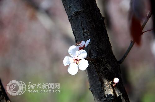 suncitygroup太阳集团