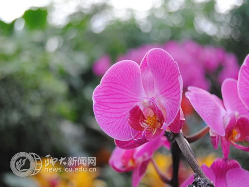 suncitygroup太阳集团