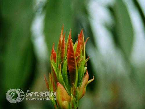 suncitygroup太阳集团