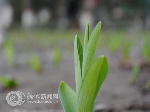 suncitygroup太阳集团