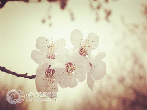 suncitygroup太阳集团