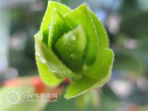 suncitygroup太阳集团