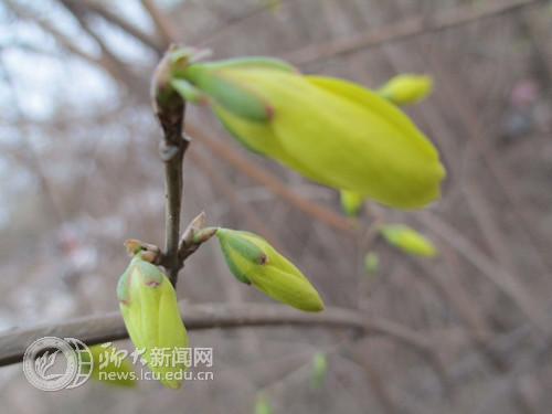 suncitygroup太阳集团