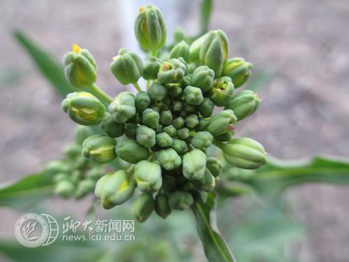 suncitygroup太阳集团