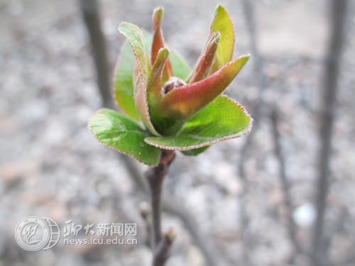 suncitygroup太阳集团