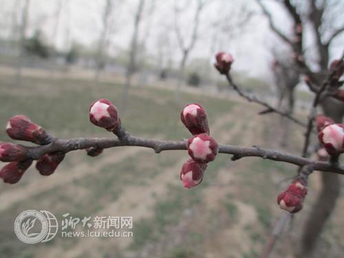 suncitygroup太阳集团