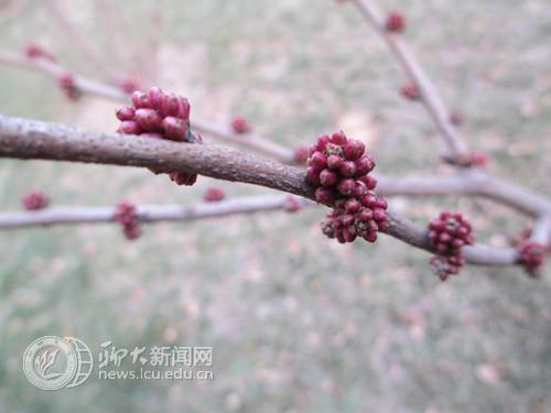 suncitygroup太阳集团