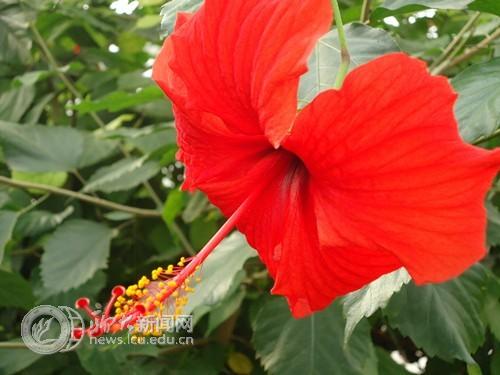 suncitygroup太阳集团