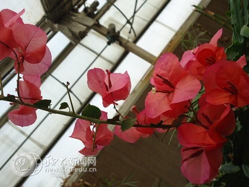 suncitygroup太阳集团