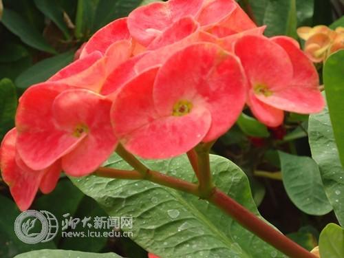 suncitygroup太阳集团