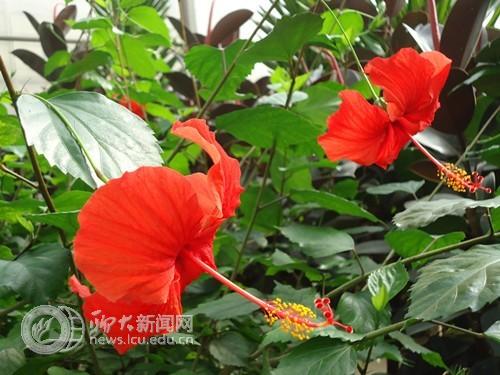 suncitygroup太阳集团