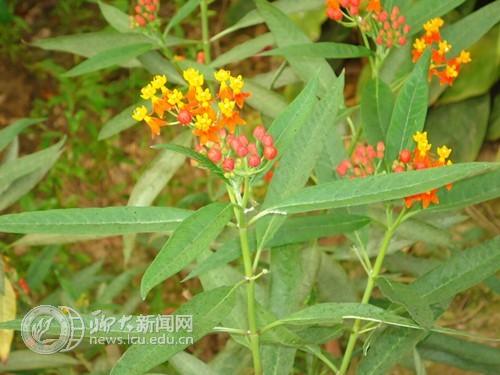 suncitygroup太阳集团