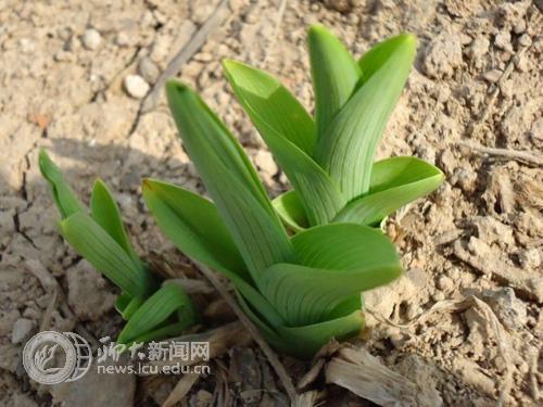 suncitygroup太阳集团