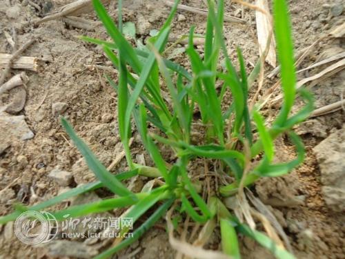 suncitygroup太阳集团