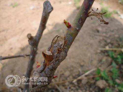 suncitygroup太阳集团