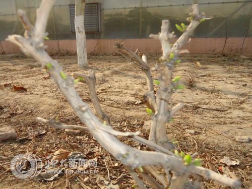 suncitygroup太阳集团