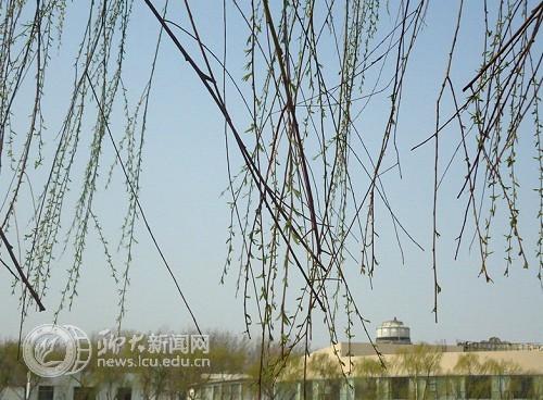 suncitygroup太阳集团