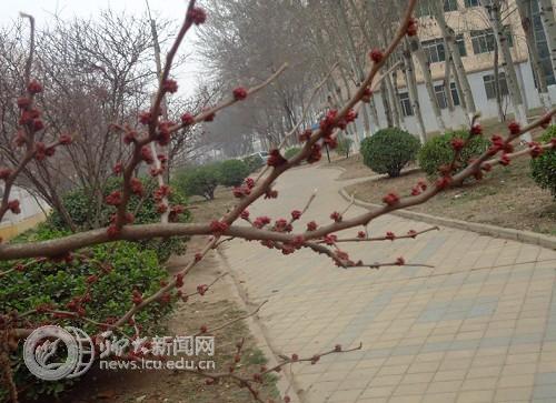 suncitygroup太阳集团