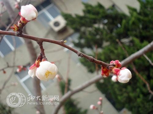 suncitygroup太阳集团