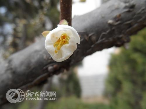 suncitygroup太阳集团