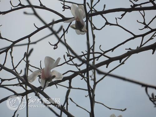 suncitygroup太阳集团