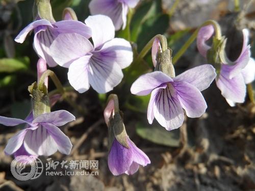 suncitygroup太阳集团